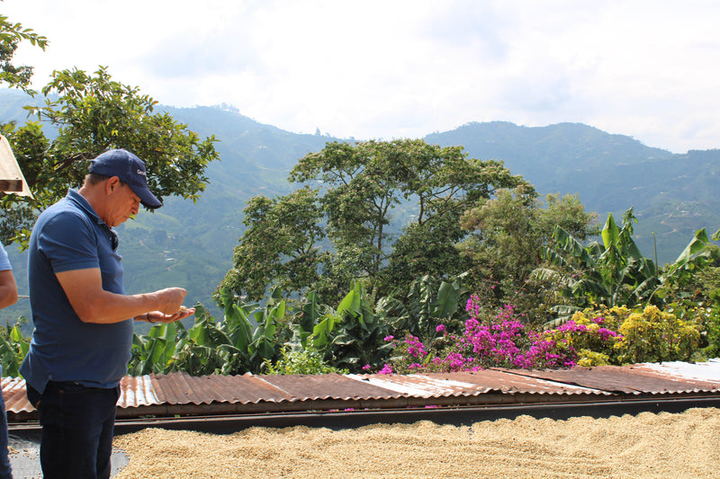 Colombia - Juan Jiménez, Espresso